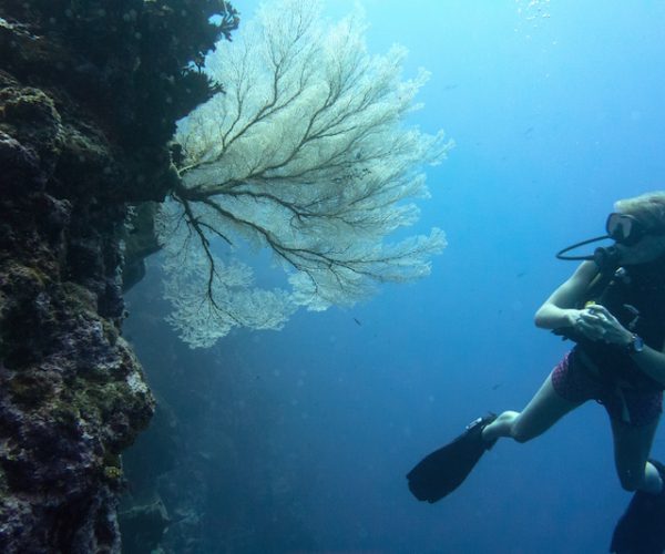 Una-Una-Island-The-Perfect-Place