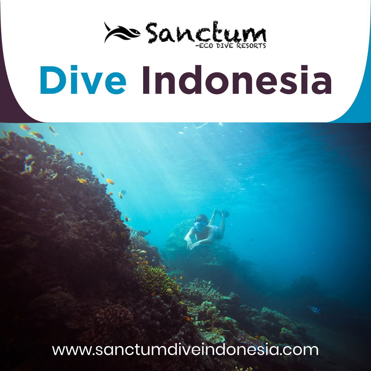 dive-Indonesia
