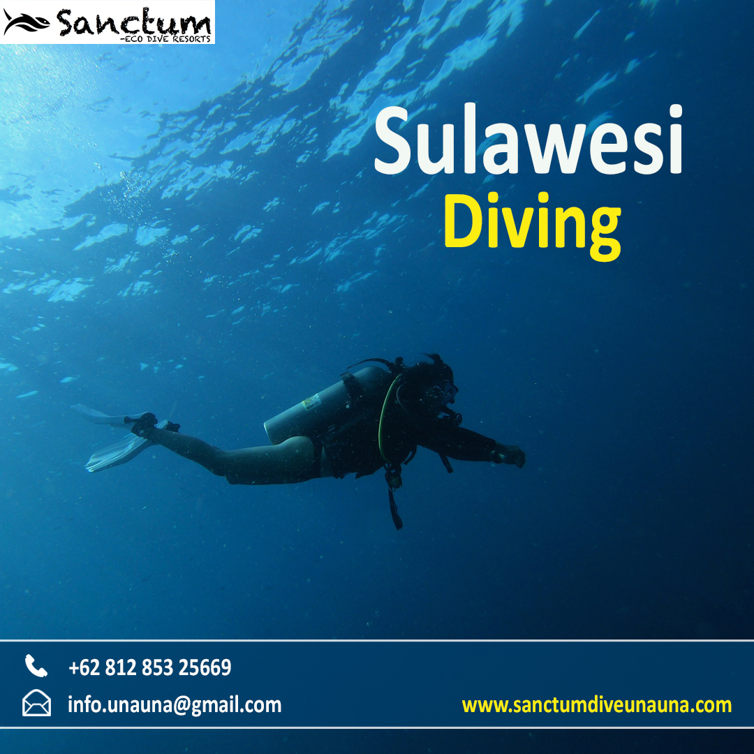 Sulawesi-diving