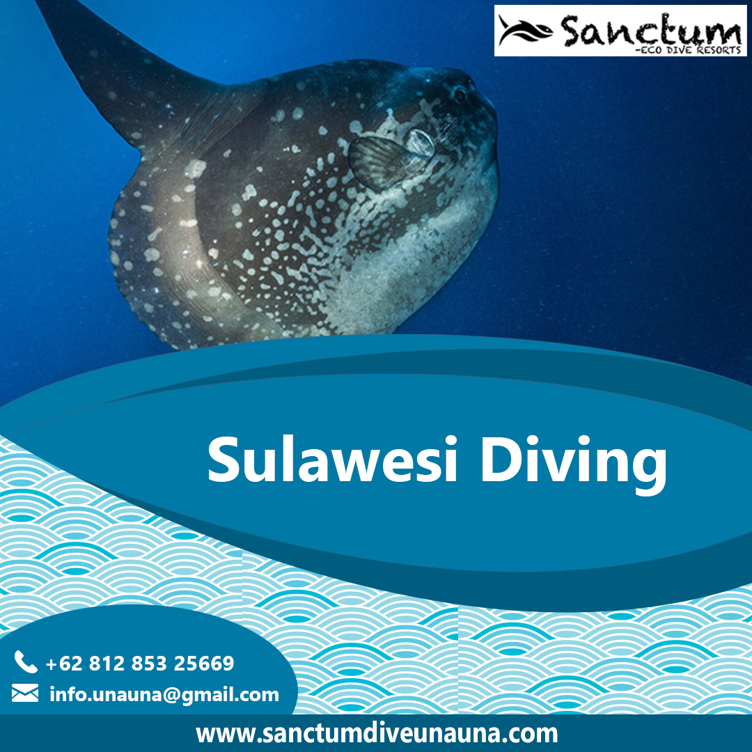 sulawesi-diving