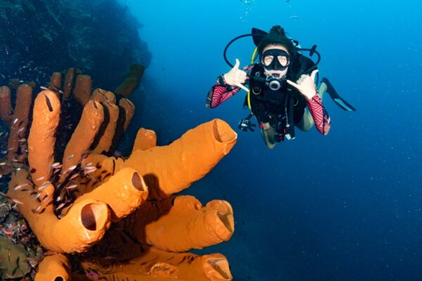 OLYMPUS DIGITAL CAMERA OLYMPUS DIGITAL CAMERA